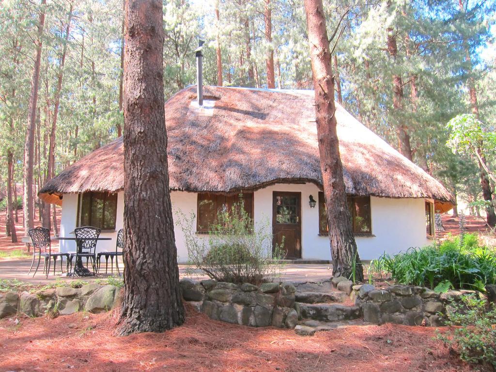 Giantscup Wilderness Reserve Underberg Zewnętrze zdjęcie